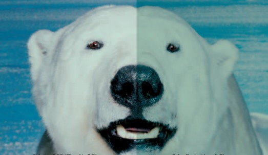 云顶集团(中国区)官方网站